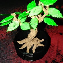 mini tree desk mini plant tree 3d print model - Mito3D