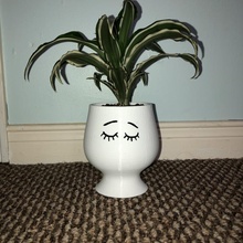 humor Panela jardim plantador cutepot bonito headpot headplanter pote planejador sonolento 3d print model - Mito3D