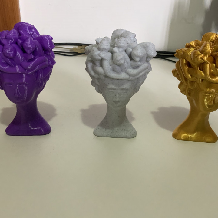 medusa fallimento 3d stampante testa ipad modello Topolino serpente meshmixer geeetech ios easythreed scultura a20t forgiare 3D print model - Mito3D
