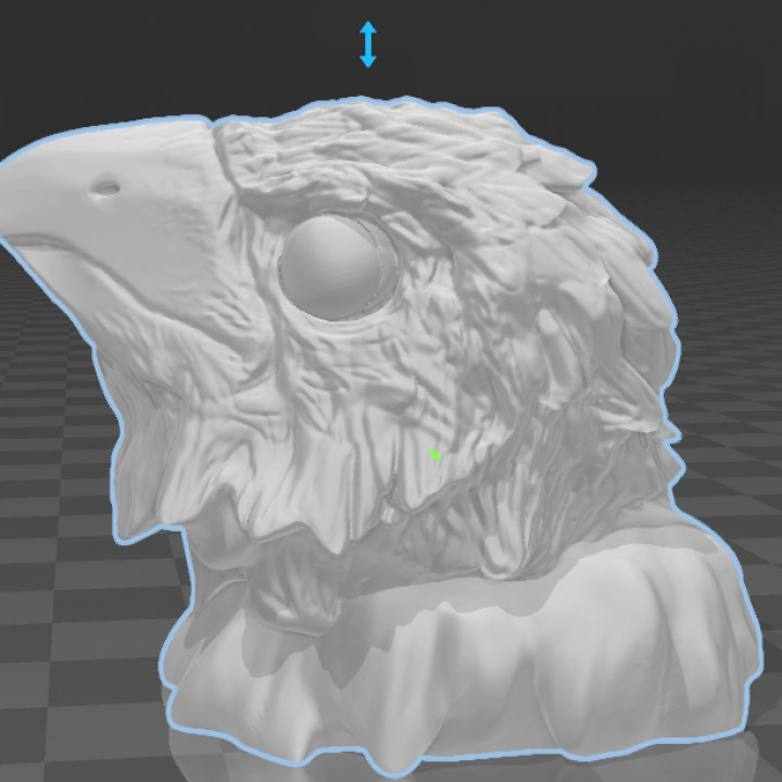 bird head animal decoration eagle nature hawk avian 3D print model - Mito3D
