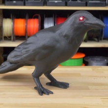 crow led eyes black halloween 3d print model - Mito3D