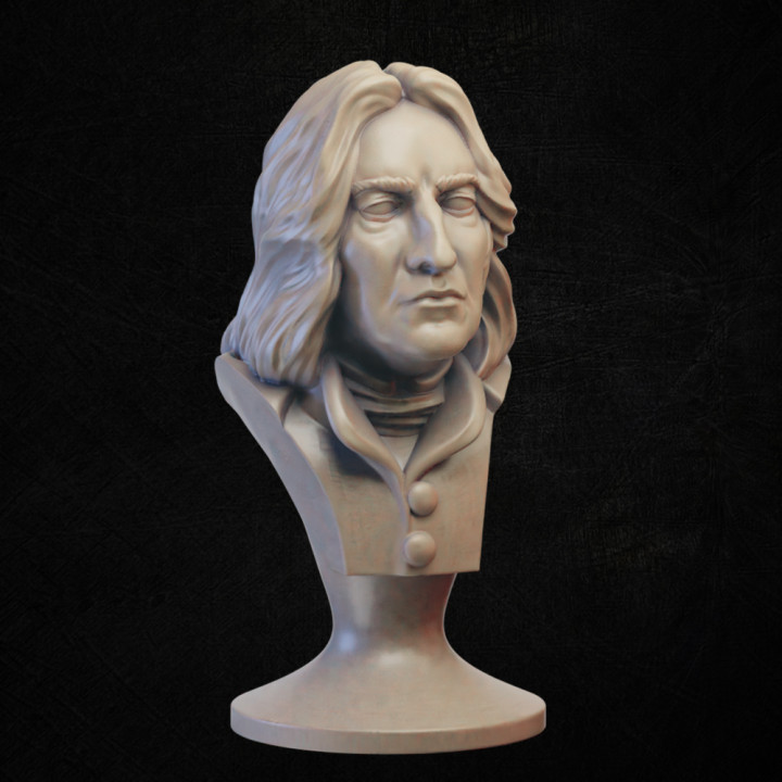 guy bust mage 3D print model - Mito3D