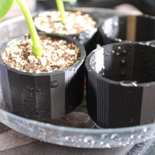 sencillo pequeña propagación taza jardín indoor planter Gardenin 3d print model - Mito3D