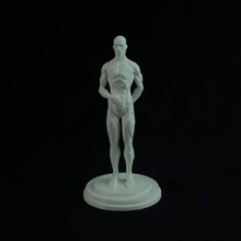 muscle humain référence fan art l'homme muscles 3d print model - Mito3D