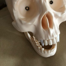 agostini arthur fang skull vampire vampyre nosferatu funny bones 3d print model - Mito3D