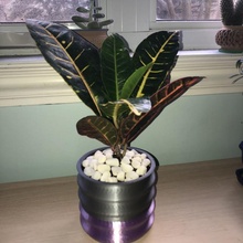 wavy pot plant planter cutepot wavypot 3d print model - Mito3D