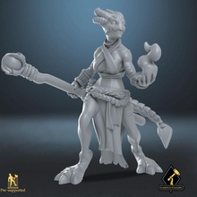 Dragonborn büyücü kadın masaüstü epik Hanım sihirbaz dnd büyü 3d print model - Mito3D