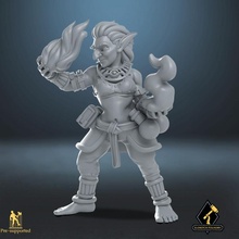goblin feiticeira tampo mesa fêmea bruxo aventura dnd emboscada caverna 3d print model - Mito3D