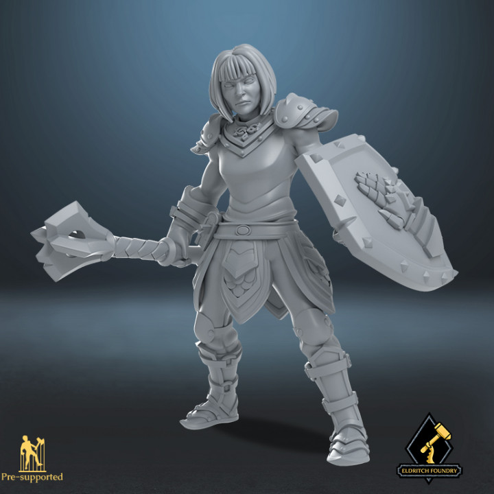 insan din adamı masaüstü dövüşçü kahraman kutsal macera paladin dnd kadın fırtına 3D print model - Mito3D