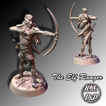 adventurers - elf ranger fantasy rpg players 3d print model - Mito3D