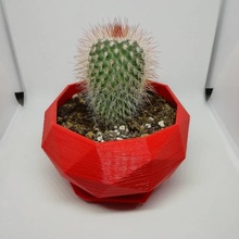 geometrisch Pflanze Topf Vase Kaktus 3d print model - Mito3D