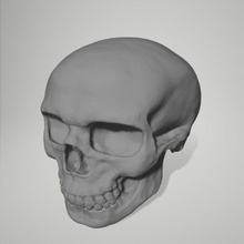 regular skull accessory dice inclusion 3d print model - Mito3D