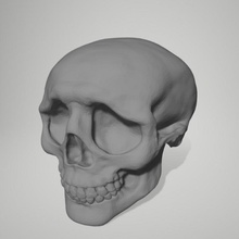 worried skull accessory dice inclusion 3d print model - Mito3D