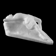 mortos pearl diver portland museu arte maine scan 3d print model - Mito3D