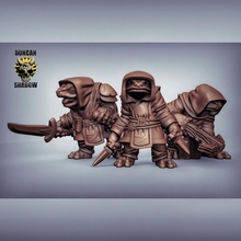 boggard rogues pre supported tabletop dungeonsanddragons frog rogue dnd folk pathfinder tabletopgames 3d print model - Mito3D