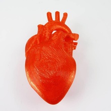 menschliche Herz Bildung 3d print model - Mito3D