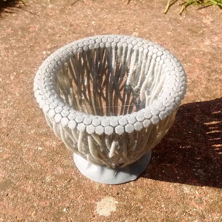 Bio hex Pflanzkübel vase Garten 3D print model - Mito3D