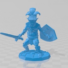 elf paladin poli dövüşçü şövalye mini minyatür düşük masaüstü dnd 3d print model - Mito3D