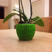 Orchidee Topf Garten vase 3d print model - Mito3D