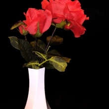 pentha vase jardin 3d print model - Mito3D