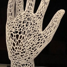 n'est chorale gants art décoration main voronoi bras principale 3d print model - Mito3D