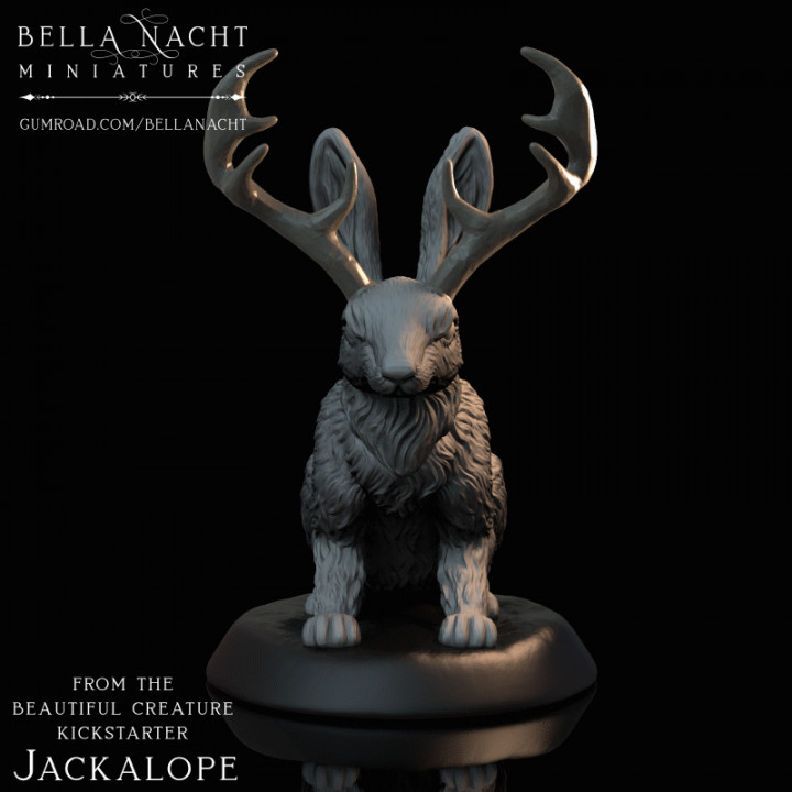 jackalope 32mm ölçek masaüstü tavşan Arkadaş dnd yol bulucu tanıdık 3D print model - Mito3D