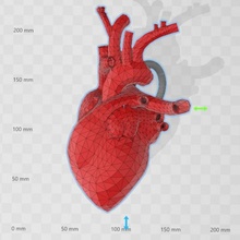 anatomik kalp kolye moda anatomi cazibe takı Gotic 3d print model - Mito3D