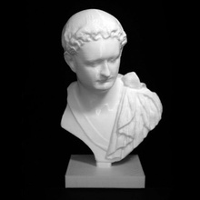 portrait bust emperor domitian metropolitan museum art york scan 3d print model - Mito3D