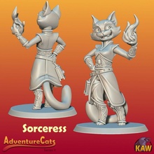 sorceress cat cute fantasy magic adventure dnd sorcerer tabaxi 3d print model - Mito3D