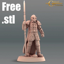 seçkinler koruma Bedava Ejderha dövüşçü oyun adam mini rol yapma rpg kılıç birim savaşçı minyatür masaüstü zindan 28mm 32mm 3d print model - Mito3D