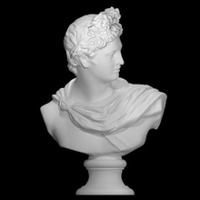 busto apolo belvedere union des mus nationaux parís scan 3d print model - Mito3D