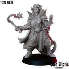tiefling cleric tabletop dark fantasy rpg priest evil bane mace dnd chaotic 3d print model - Mito3D