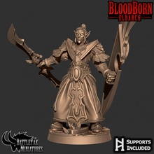 sanguigno giudice giocattoli Giochi elfo fantasia orrore wargaming warhammer guerriero lotr mago scifi dnd esploratore giochi tavolo ttrpg arcano battleyakminiatures 3d print model - Mito3D