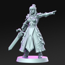 fate - female knight 32mm dnd toys & games girl sword rn estudio 3d print model - Mito3D