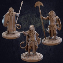 aechelon leonin fighter - presupported toys & games dragon dragons dungeons greek hero lion mini roman soldier warrior character miniature spartan trappers dnd tabaxi lodge theros 3d print model - Mito3D
