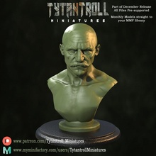 ttminis bust pre-supported fantasy miniatures 3dprinting minis busts tytantroll 3d print model - Mito3D