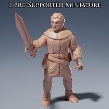 ryence oran comerciante brinquedos jogos figura modular espada personagem miniatura senhor nobre interpretação papéis bolsa viajando rico 3d print model - Mito3D