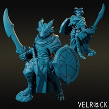 Dragonborn din adamı tamara pala kalkan oyuncaklar oyunlar fantezi dövüşçü paladin Zindanlar ejderhalar Bahamut Dragonfolk Dragonkin Ejderha 3d print model - Mito3D