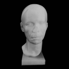 portrait buste marbre man 2 musée métropolitain d'art york numérisation 3d print model - Mito3D