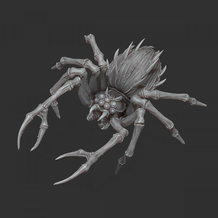 predator spider - professionally pre-supported toys & games dnd pathfinder frostgrave pitfighter bloodyswordminiatures 3dprintingpro 3D print model - Mito3D