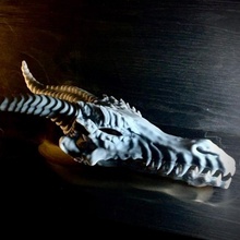 Dragão crânio brinquedos jogos arte criatura dinossauro fantasia lagarto monstro natureza réptil Ciência dentes ficcional biologia esculturas predador pré histórico paleontologia extinto 3d print model - Mito3D