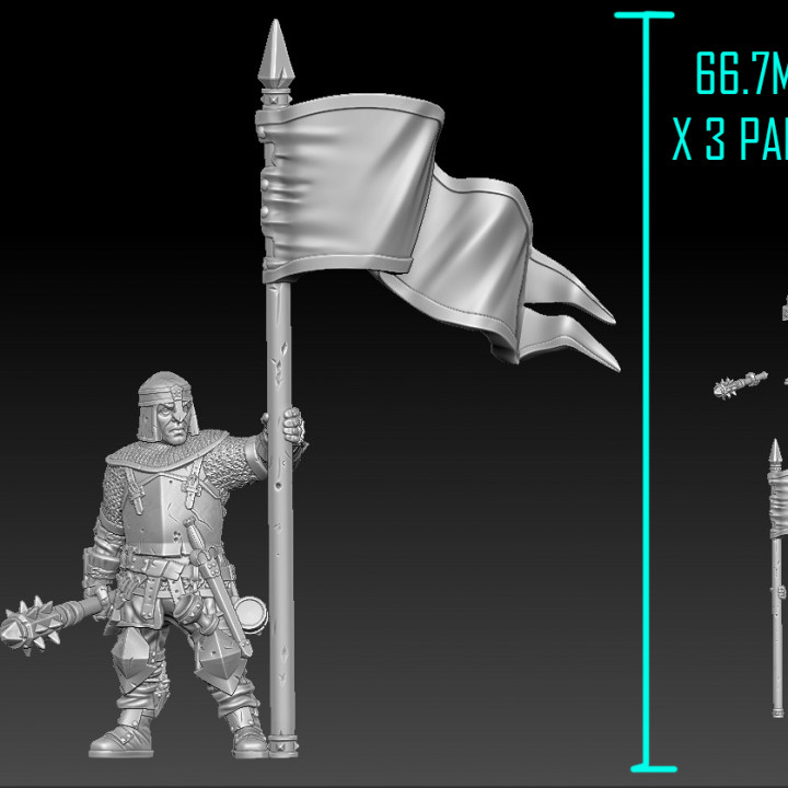 heresylab ax064 sergente banner giocattoli Giochi draghi dungeon fantasia warhammer guerriero d avventuriero mordheim banda guerra cavaliere axia 3D print model - Mito3D