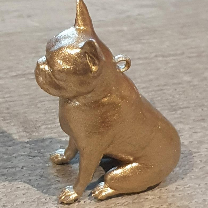 french bulldog fashion & accessories dog 3D print model - Mito3D