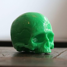 skull education 3d print model - Mito3D
