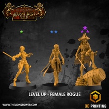 level rogue - female 3x modular 32mm scale miniatures presupported pirate dungeonsanddragons daggers karambit pathfinder rapier dandd dualwield swashbuckler 3d print model - Mito3D