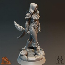 adventurer - female thief store cute dungeons girl party roleplay rpg sexy warhammer woman miniature assassin dagger dungeonsanddragons tabletop d&d ageofsigmar throwingdagger dualsword 3d print model - Mito3D