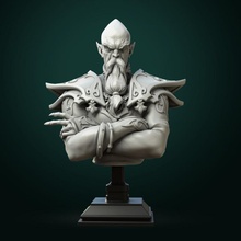 zondar valis archmage bust pre-supported store fantasy character miniature mage boardgame tabletop wargame dnd pathfinder ttrpg 3d print model - Mito3D