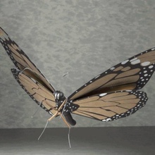 papillon monarque créé partsolutions 3d print model - Mito3D