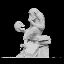 monkey skull scan 3dprintable austria 3d print model - Mito3D