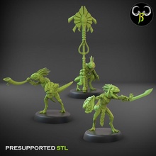 nova raptor leader set toys & games fantasy lizard miniature wargame lizardmen 3d print model - Mito3D